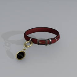 Collar - Basic Asset (Pierrez)