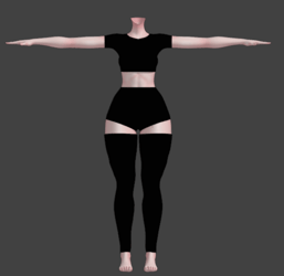Thigh highs (E-Girl)