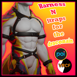 Harness N Straps for the Draconian