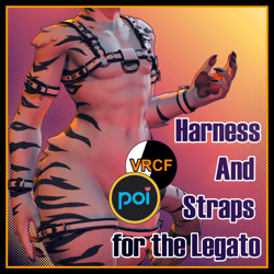 Harness and Straps For the Legato