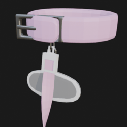 Simple Collar and Leash