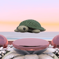 Turtle friend
