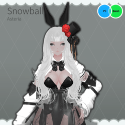 Snowball ( PC/Quest/FT/SPS )