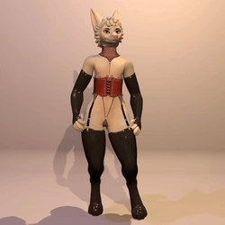 Corset & Garter Set for the Lexidae