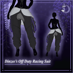 Dinzee's Off Duty Racing Suit
