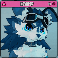 NovaPup