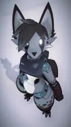 Tolska Bot