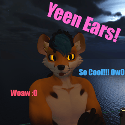 Yeen Ears! - Hyena Ears for Chaos Caninie!