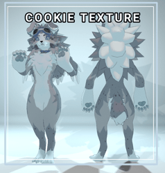 Cookie - NovaPup Texture