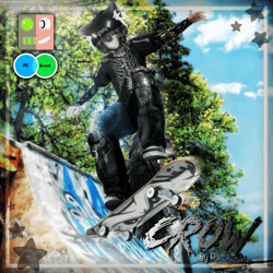 ✧ Crow ✧ PC, Q, FT