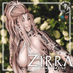 ZIRRA (SPS, PC, GoGo)