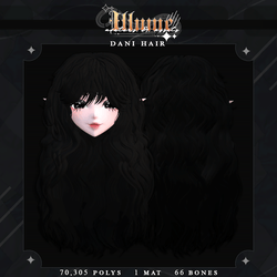DANI'S HAIR ( PERSONAL & COMMERCIAL )