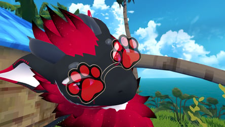 Paw Glasses