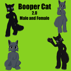 Booper Cat 2.0