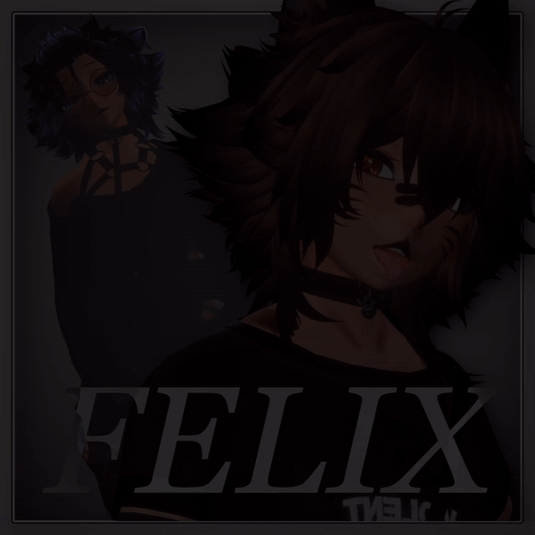FELIX  (SPS) (FEMBOY)