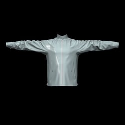 wing
