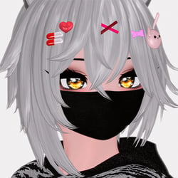 Face Mask