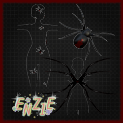 Spider Set