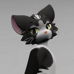 Silver Tabby Mayu Texture