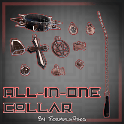 All-In-One Collar (11 charms/tags/leash options!)