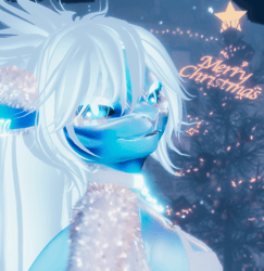 Nanami The Shark - The Festive Yeti 