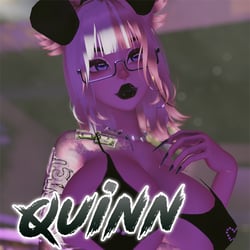 Quinn 3.0