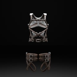 Wall Runner Harness