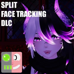 Split Face Tracking DLC
