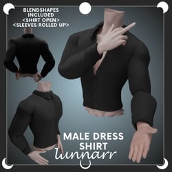Male Dress Shirt