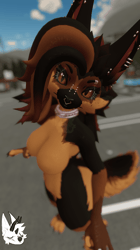 KFN Dogpack - GSD