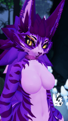 KFN Unnatural tabby - Cheshire