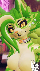 KFN Unnatural tabby - Gleeby