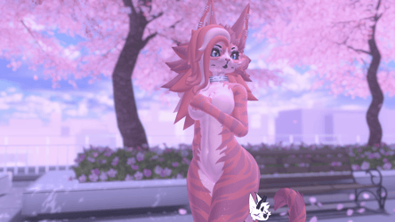 KFN Unnatural tabby - Stardust