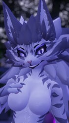KFN Natural tabby - Gray