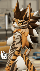 KFN Natural tabby - Gray/Brown
