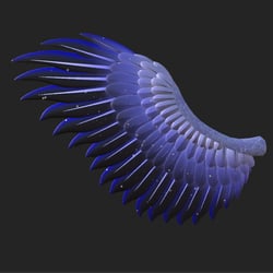 Feathered Wings