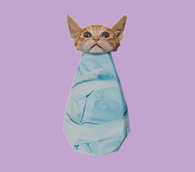 BurritoCar