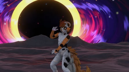Aussie Shepard Waggan Texture