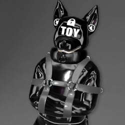 Taenine Adult Pack (Blobs, Straitjacket, Sleepsack, and More!)