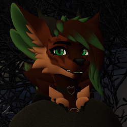 Fluffgan Bangs