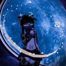 Furality Somna inspired Star Toys