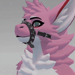 Fluffgan: Muzzle