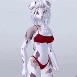 ✧ Magpie Rex ~ Casual Bikini