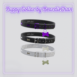 Puppy Collar