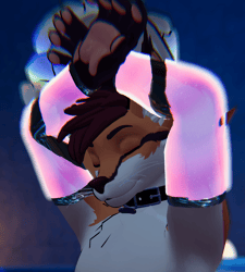 Winterpaw Canine Masc Celestial Warmers