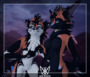 Jex  Orange Blue - Rexouium/Magpie