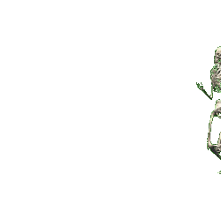 "Did You See That?" Skeleton Meme Asset!