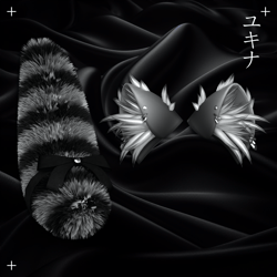 Racoon Set