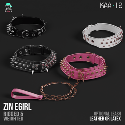 Fierce Puppy Collar & Leash