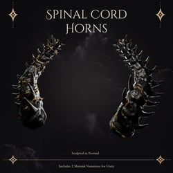 Spinal Cord Horns
